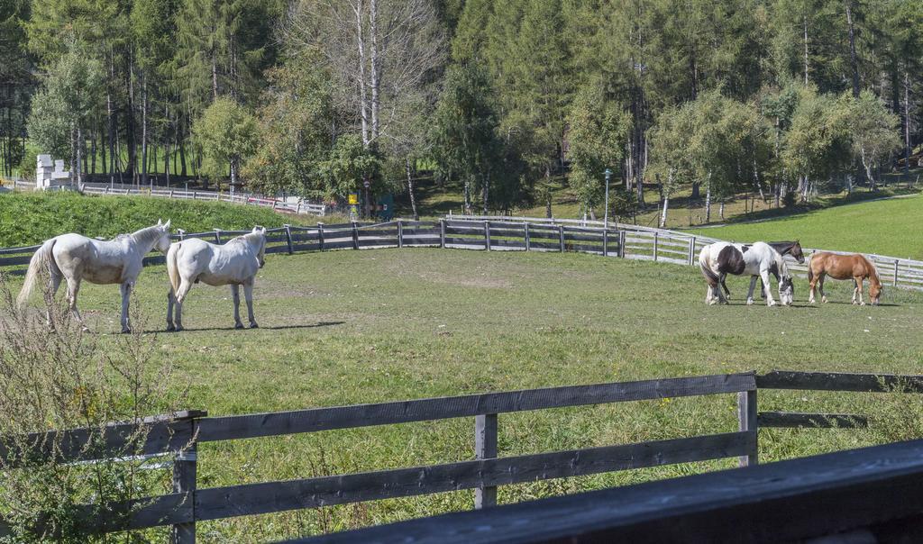 Apartmenthaus Jagdhof Reith bei Seefeld Zewnętrze zdjęcie